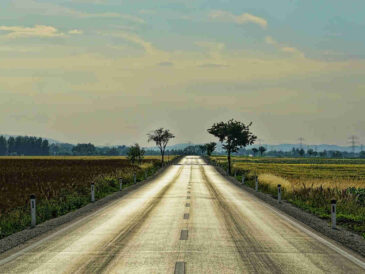 do kąd zmierza świat